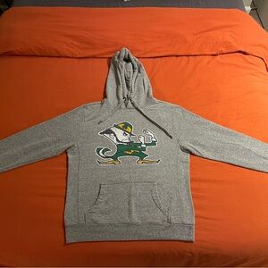Gray Notre Dame Fighting Irish Legacy Hoodie